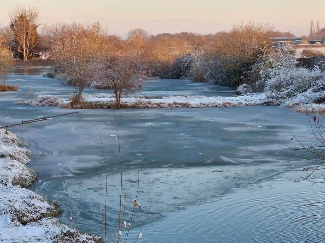 Finch in winter 14.12.22