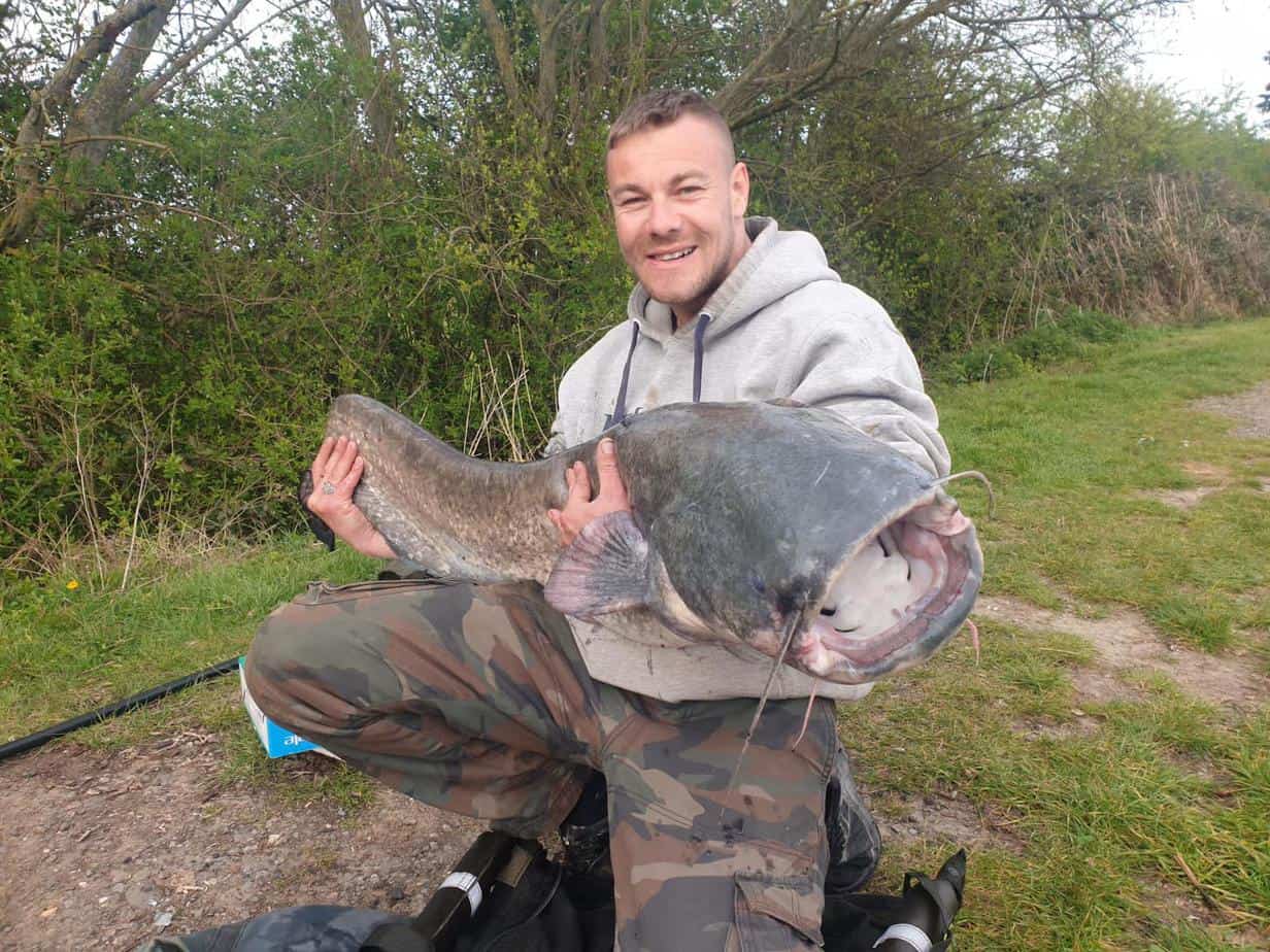 Jay 55lb