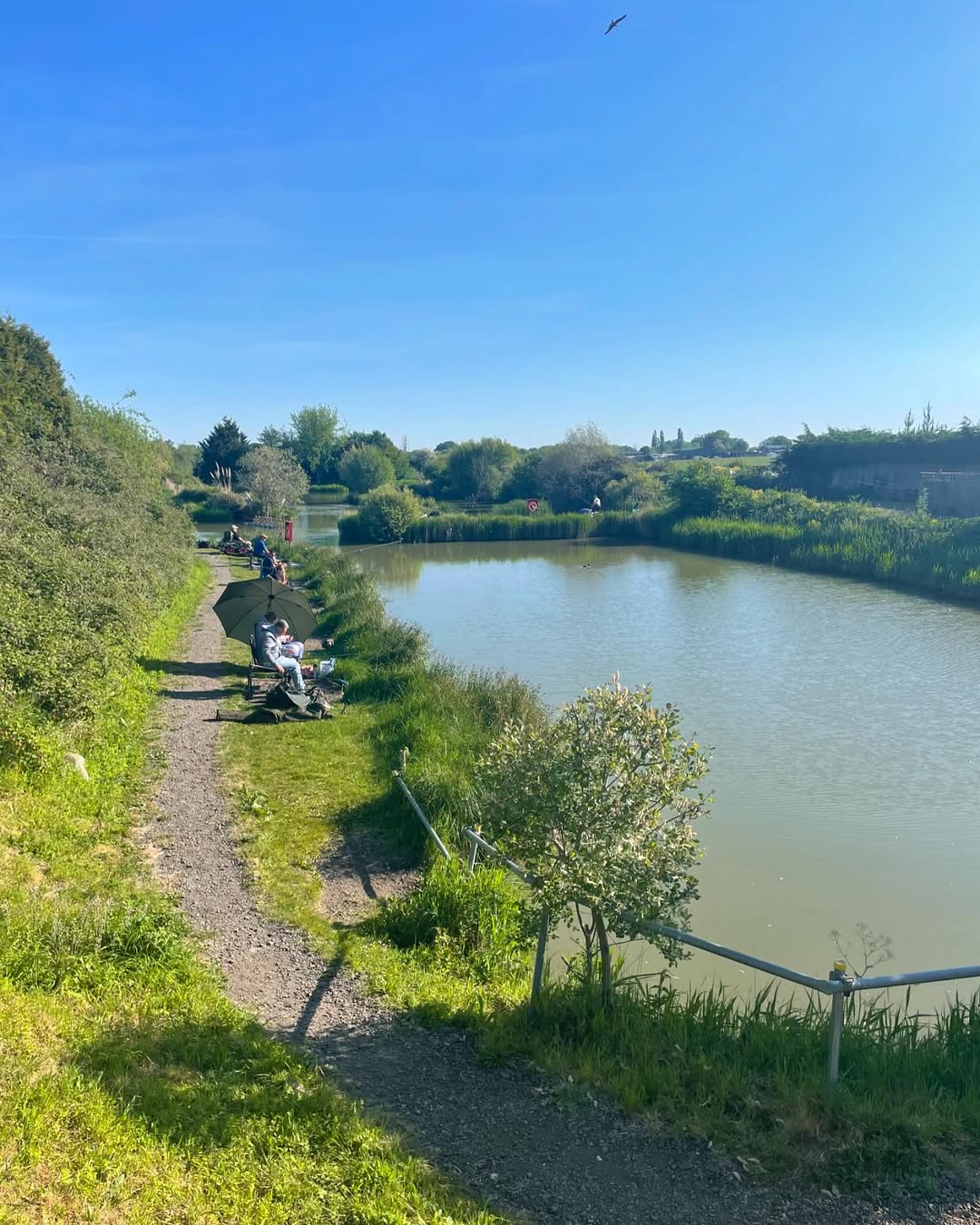 Main Lake at Finch Farm Fishery